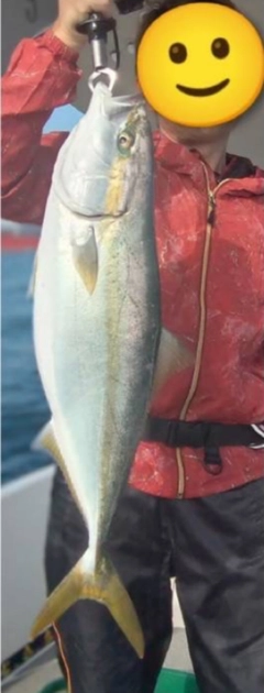 ハマチの釣果
