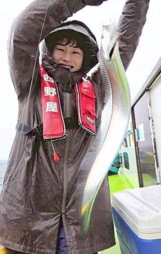 タチウオの釣果