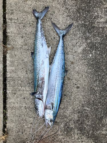 沖洲マリンピア