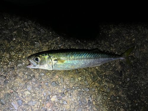 アジュール舞子