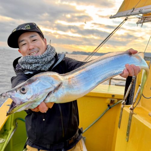 タチウオの釣果