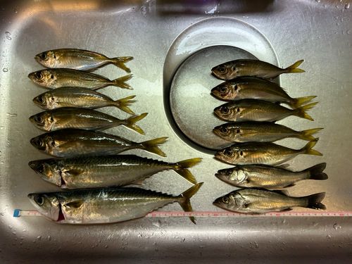 大黒海づり施設