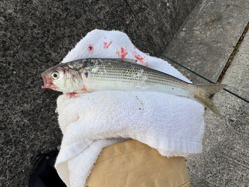 東部浄化センター（広島市）