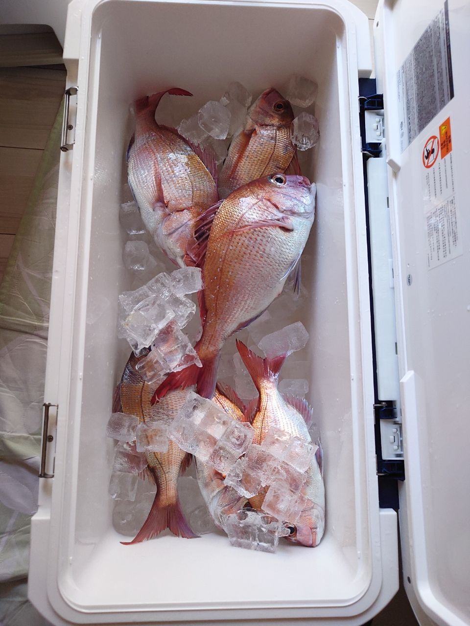 はくさい🎣🐟さんの釣果 3枚目の画像