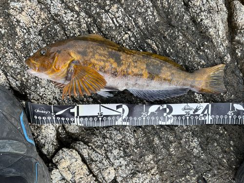 船越湾（岩手）