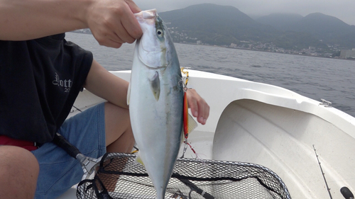 イナダの釣果