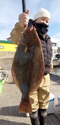 ヒラメの釣果