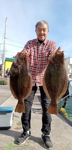 ヒラメの釣果