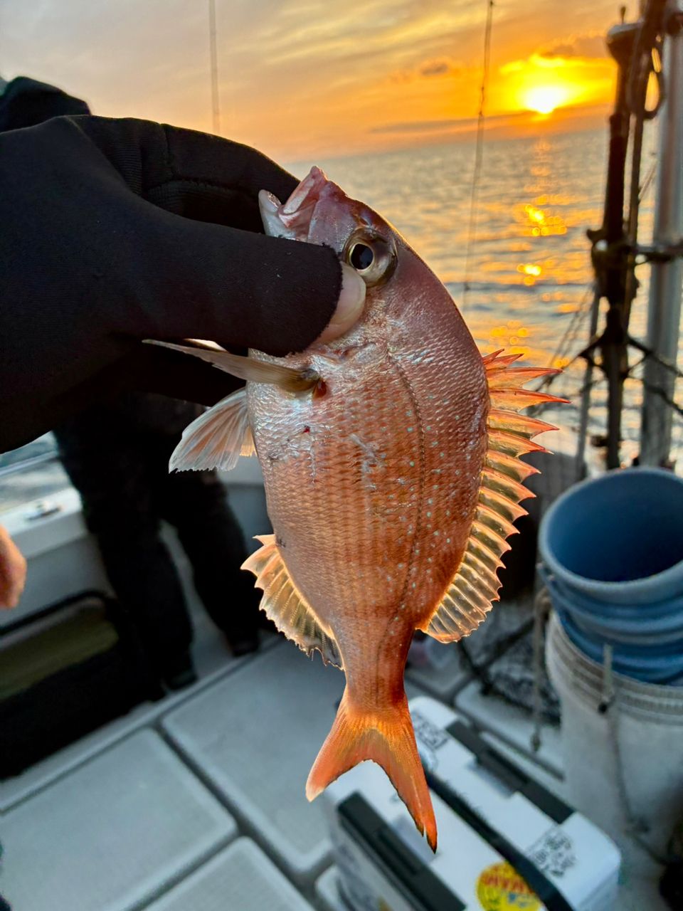 わじゅけんさんの釣果 2枚目の画像
