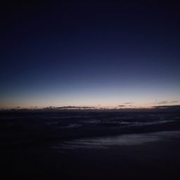 フッコ（マルスズキ）