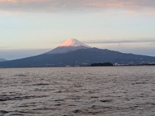 アカハタの釣果