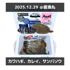 カワハギの釣果