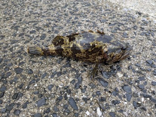 宇品波止場公園