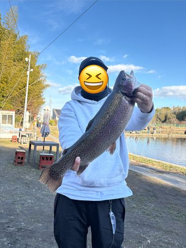 トラウトサーモンの釣果