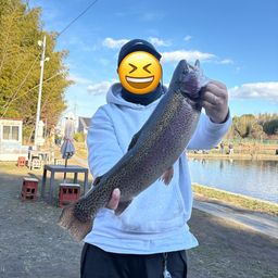 トラウトサーモン