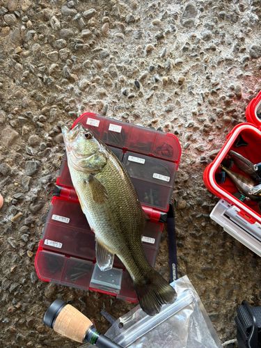 新川（霞ヶ浦）