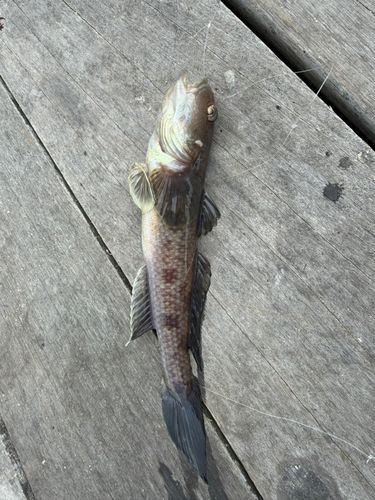 小名浜港アクアマリンふくしま周辺