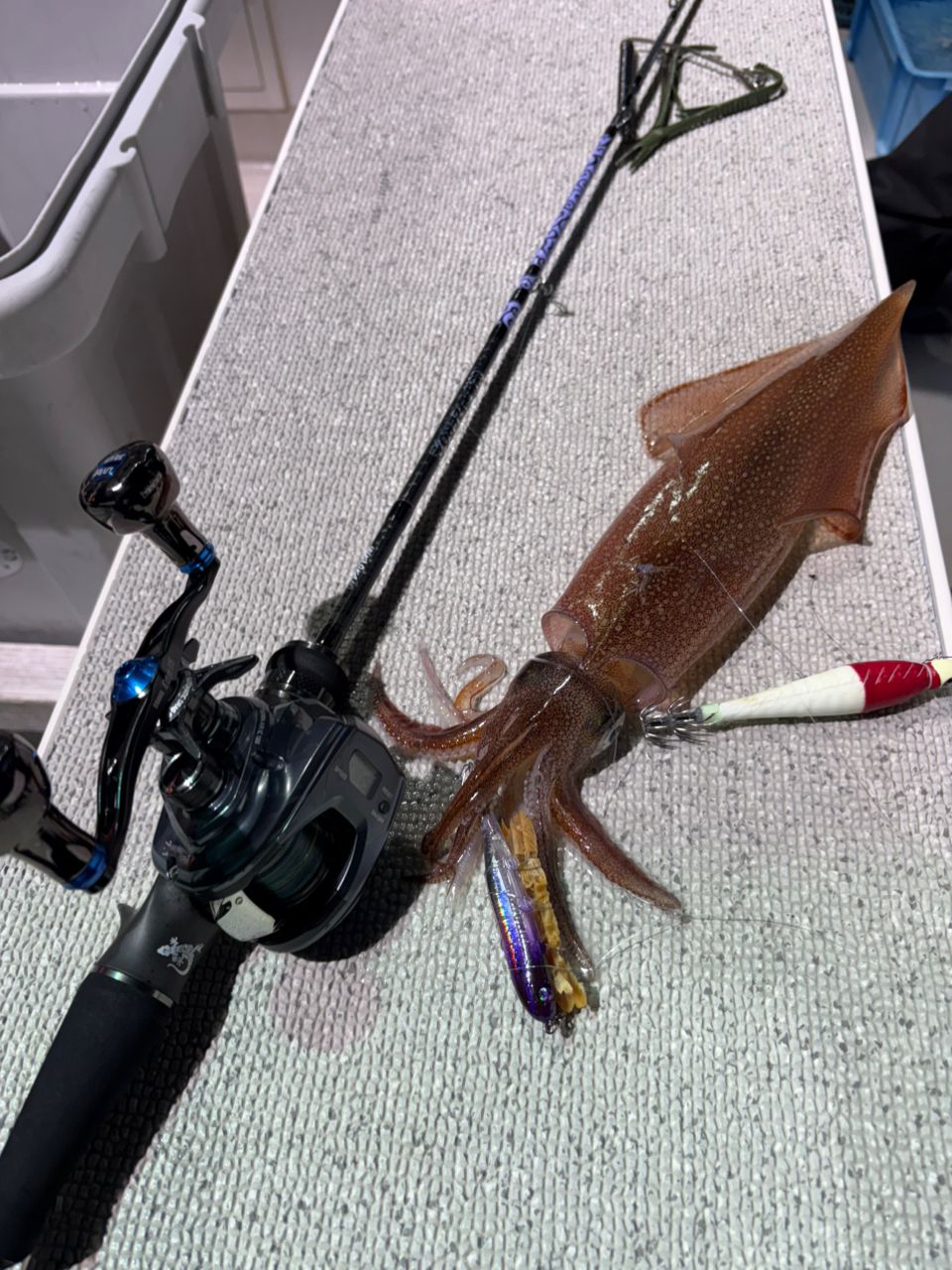 YukiyaKonKonさんの釣果 1枚目の画像