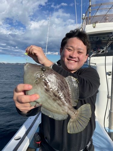 カワハギの釣果