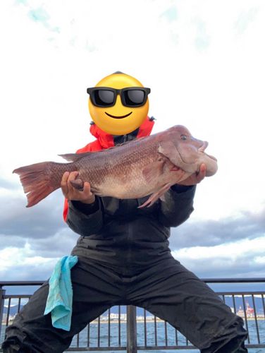 神戸空港親水護岸