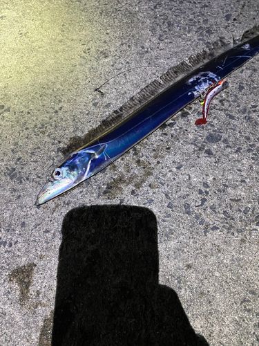 松ヶ崎漁港（葦北）