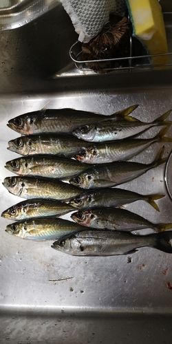 小名浜港アクアマリンふくしま周辺