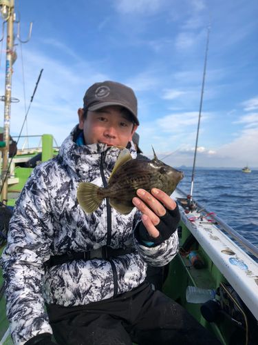 カワハギの釣果