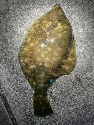 船越湾（岩手）