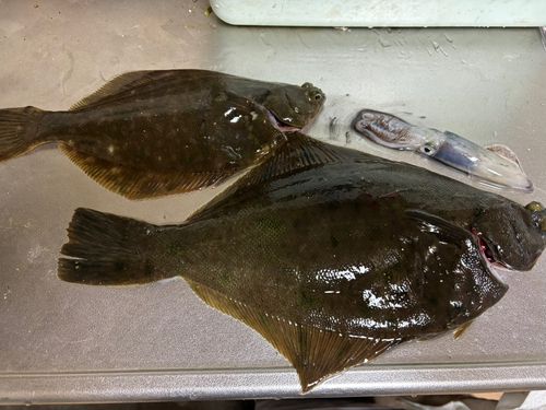 千葉港中央埠頭