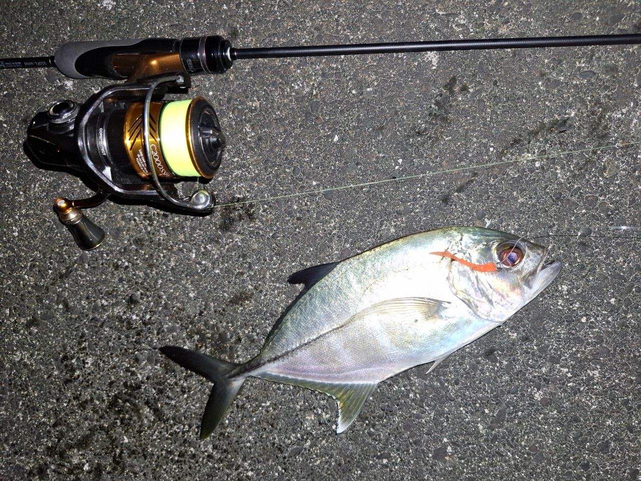 SHIMANO 18ソアレ BB C2000SSHGの最安値・インプレ・釣果 | 本音の