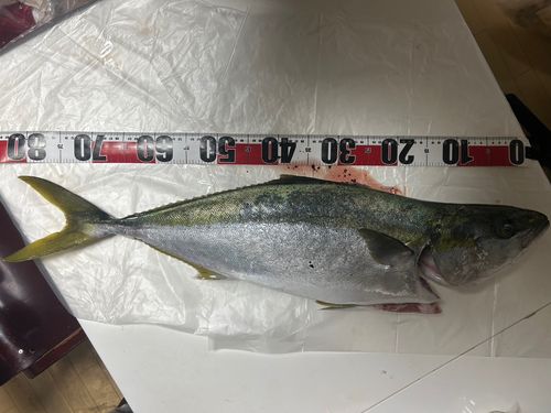 周防大島（屋代島）