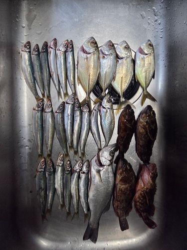 下田港（伊豆半島）