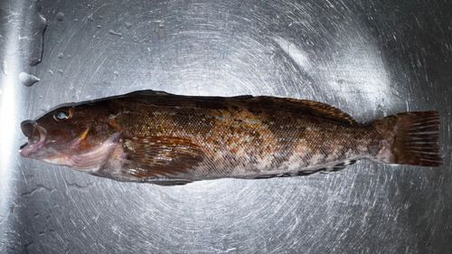 小名浜港アクアマリンふくしま周辺