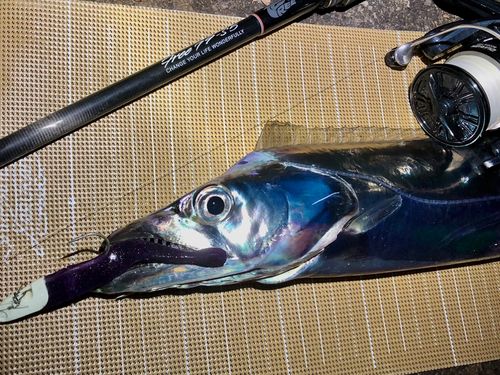 東京湾（アクアライン〜富津）