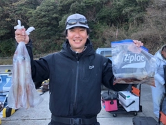 ヤリイカの釣果