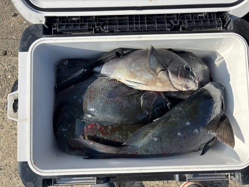 大村湾（北部）