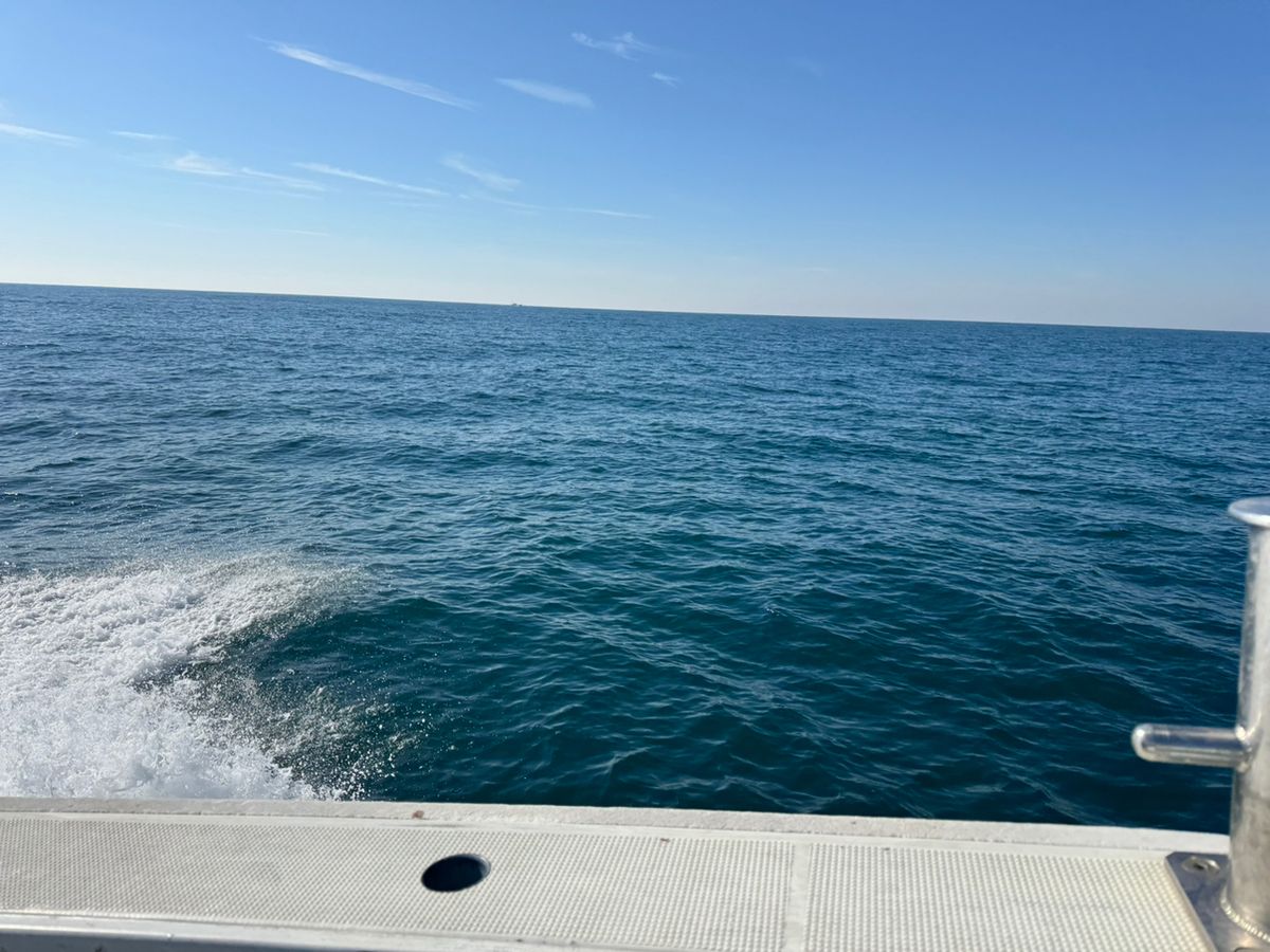 kunchanさんの釣果 2枚目の画像