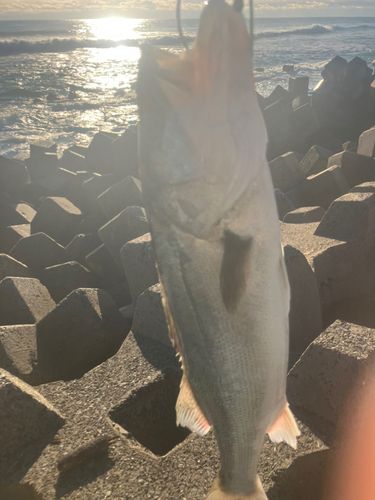 新舞子海岸（いわき）