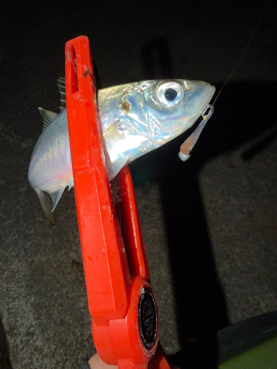 MajorCraft 鯵道 5G AD5-S622M/AJIの最安値・インプレ・釣果 | 本音の