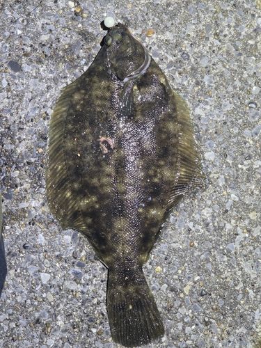 千葉港中央埠頭