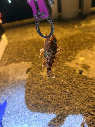 白子漁港（三重）