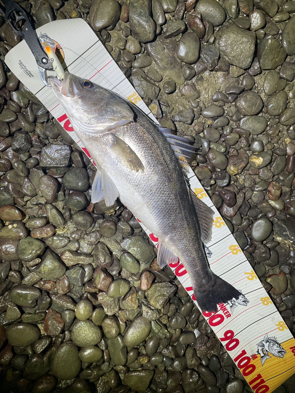 SHIMANO 20エクスセンスジェノス (ベイトキャスティングモデル) B108M