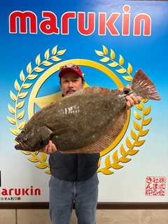 ヒラメの釣果