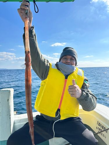 アカヤガラの釣果