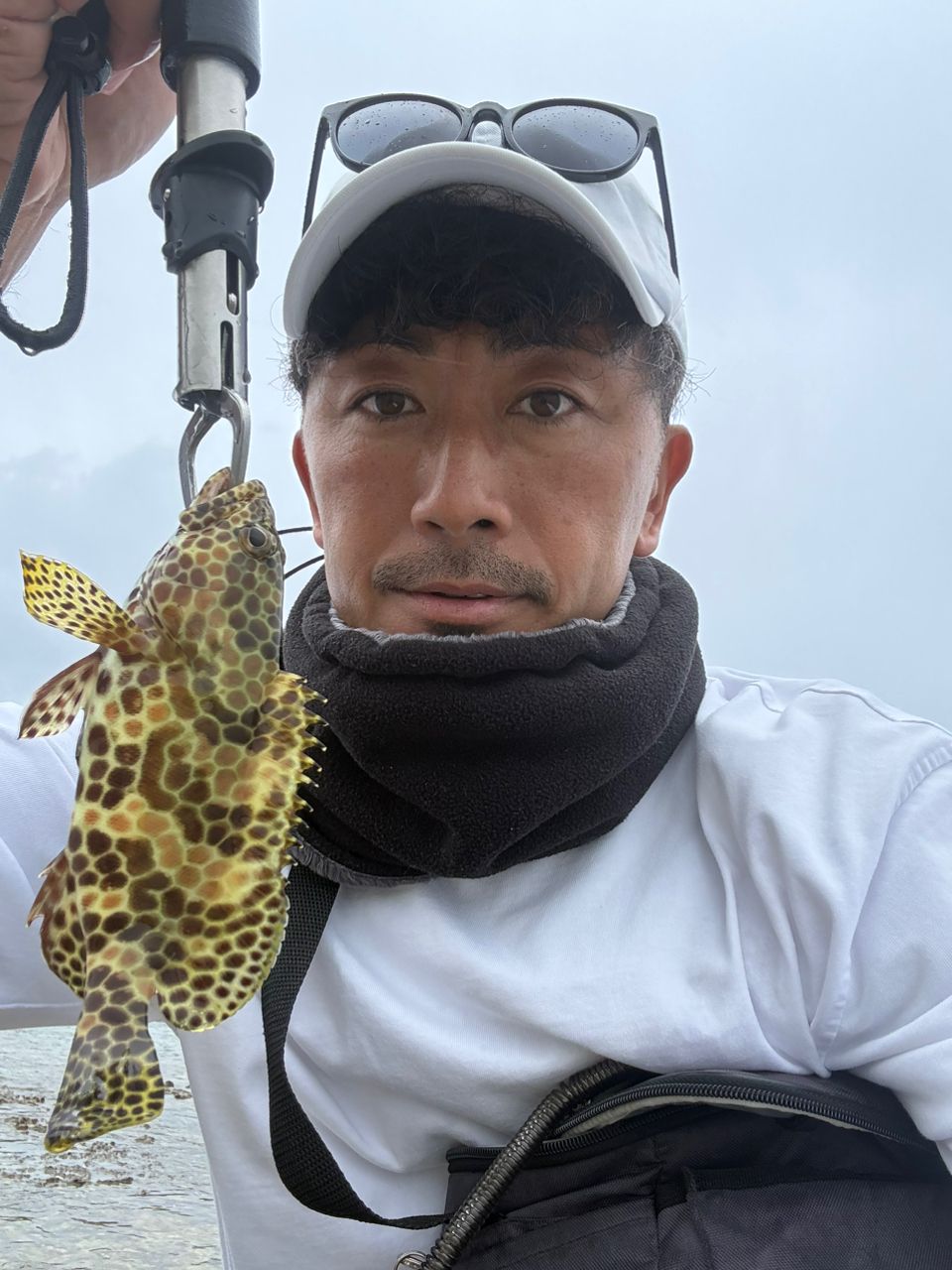 ウケグチイットウダイ