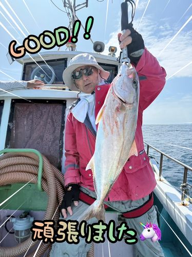 カンパチの釣果