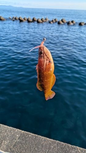 用宗広野海岸公園