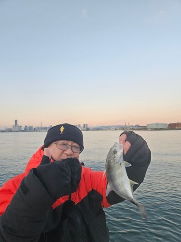 ギンガメアジの釣果