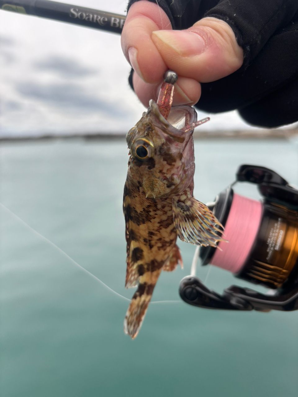 SHIMANO 23ソアレ BB S76L-Sの最安値・インプレ・釣果 | 本音の口コミ