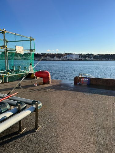 小名浜港市場前